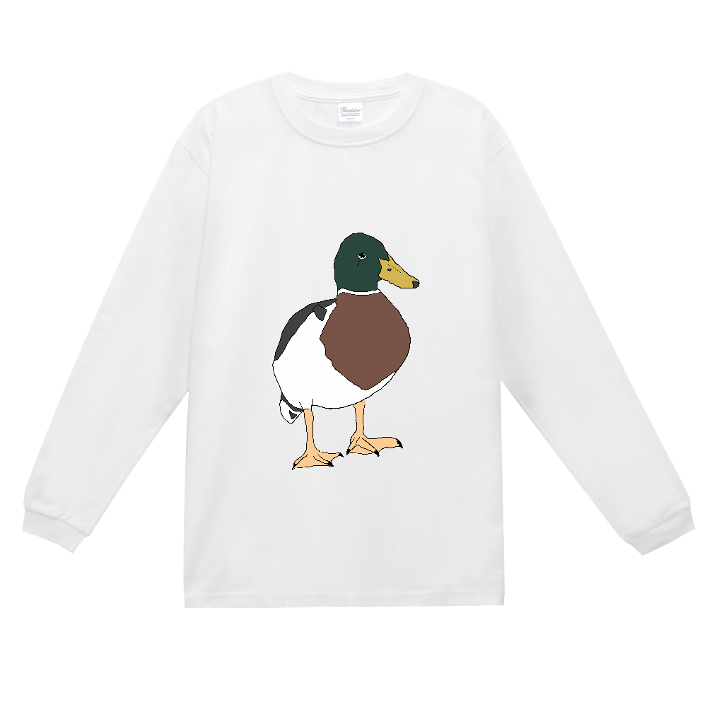 鴨