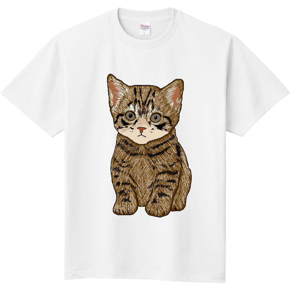 ねこ〔猫〕