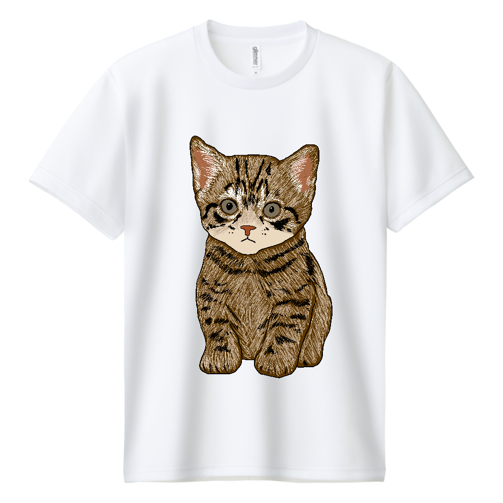 ねこ〔猫〕