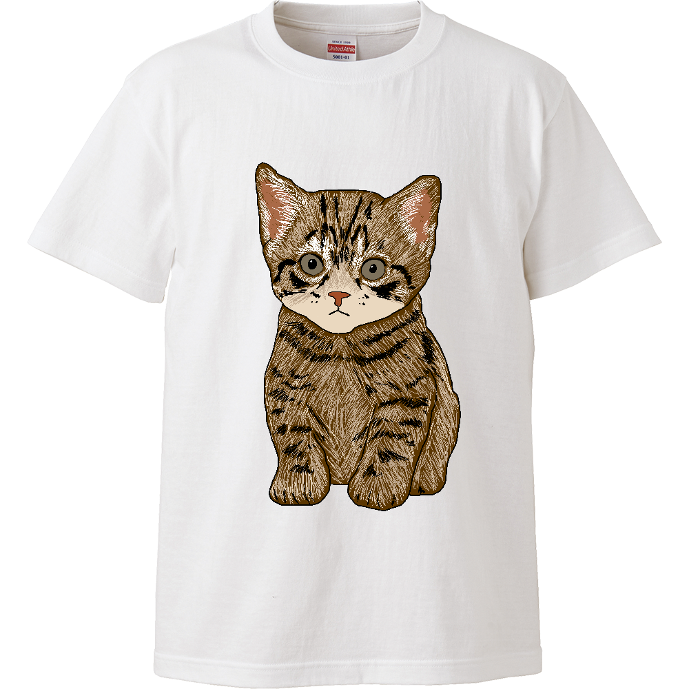 ねこ〔猫〕