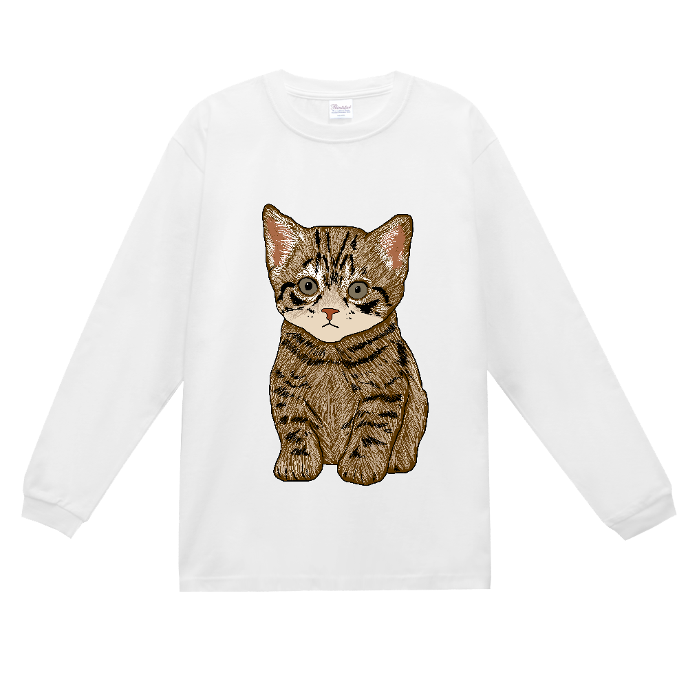 ねこ〔猫〕