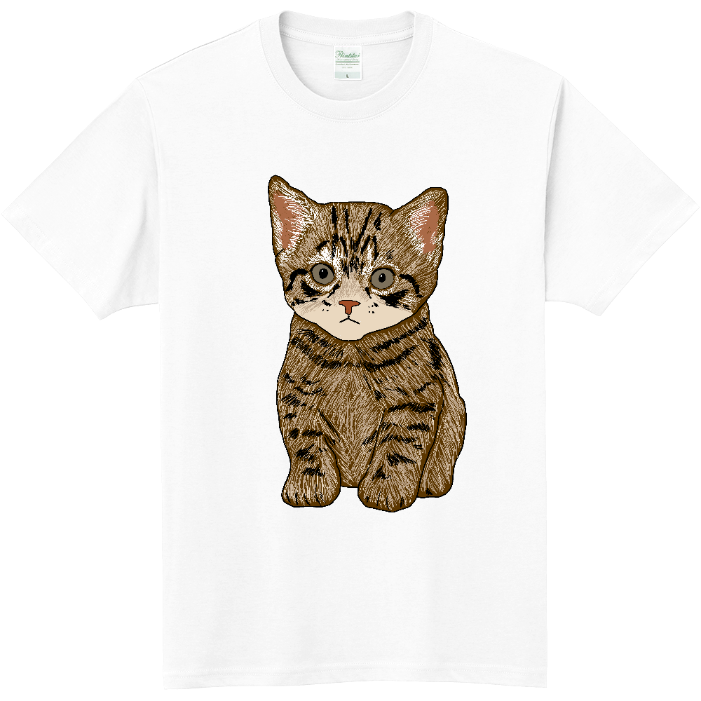 ねこ〔猫〕