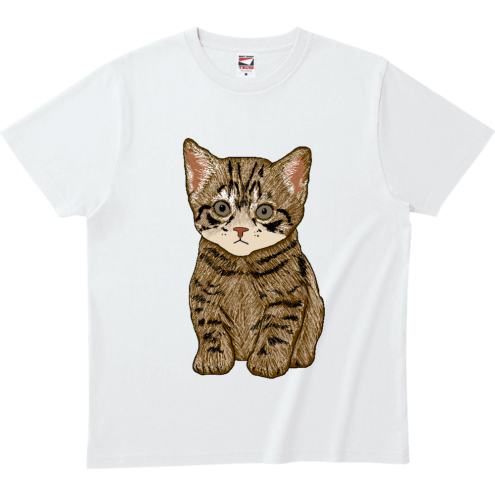 ねこ〔猫〕
