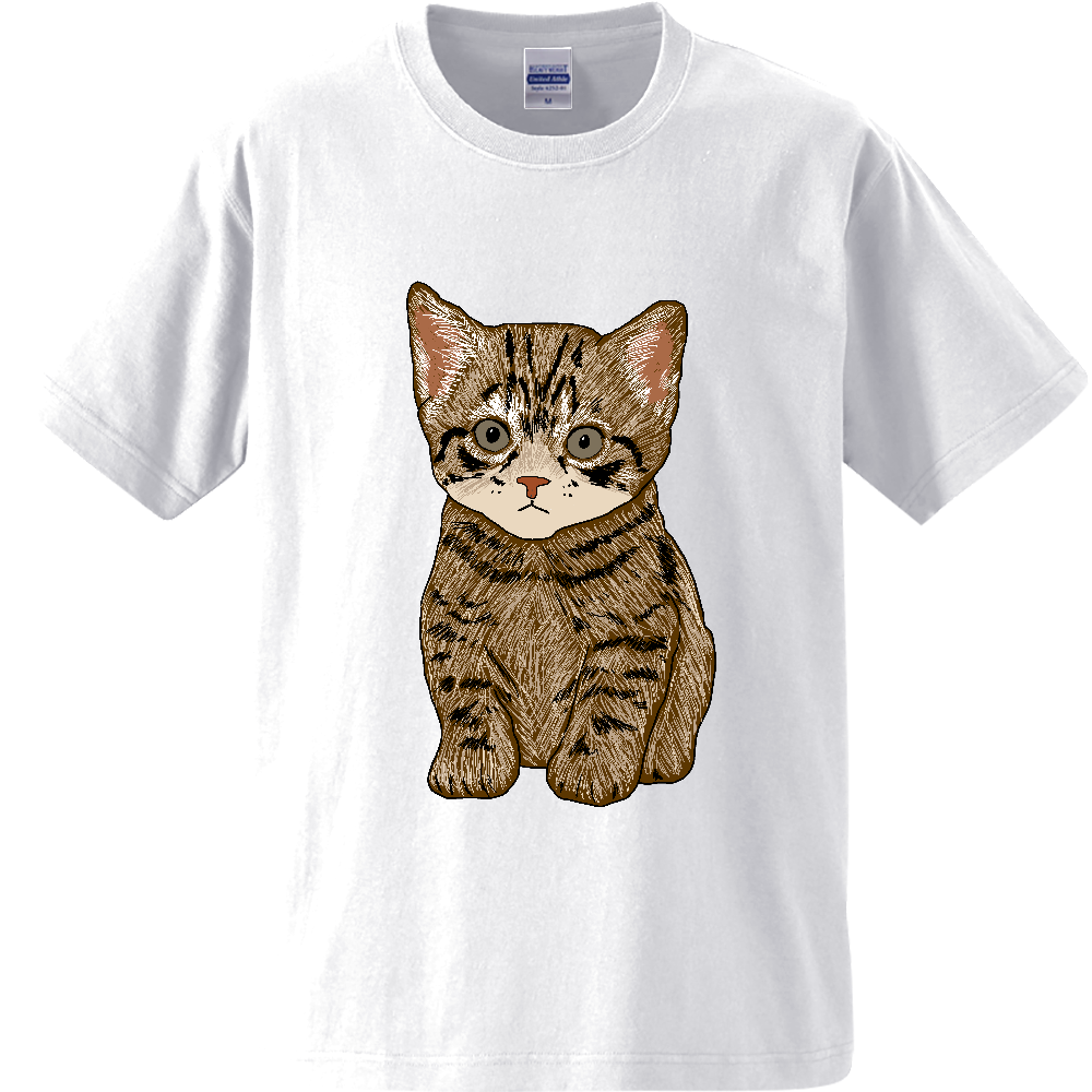 ねこ〔猫〕