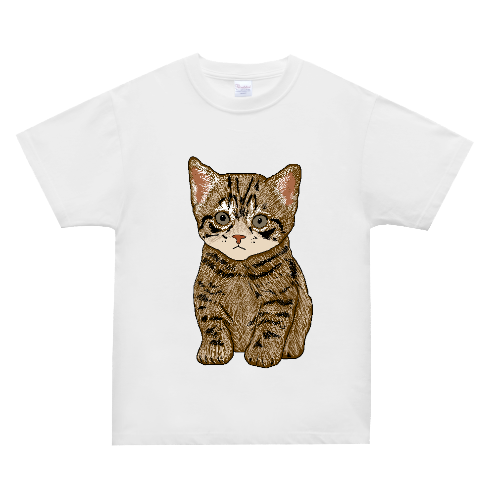 ねこ〔猫〕