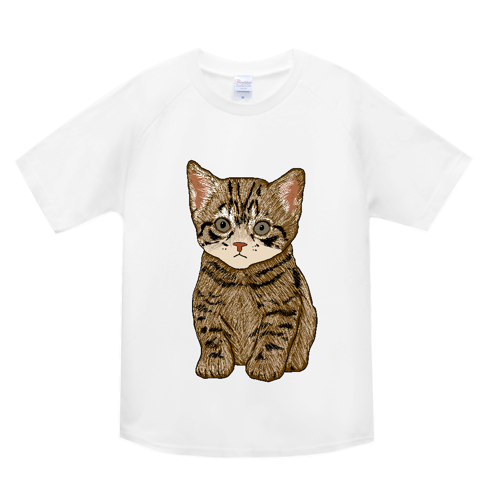ねこ〔猫〕