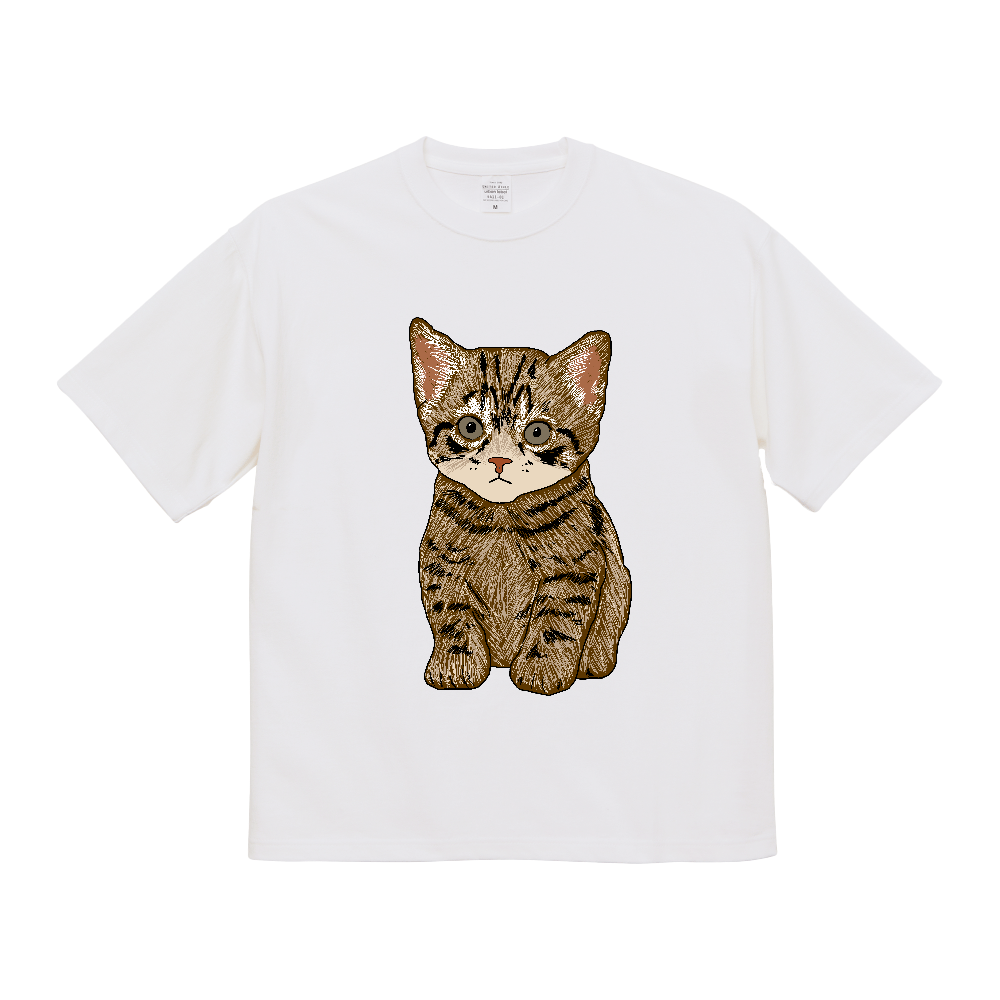 ねこ〔猫〕