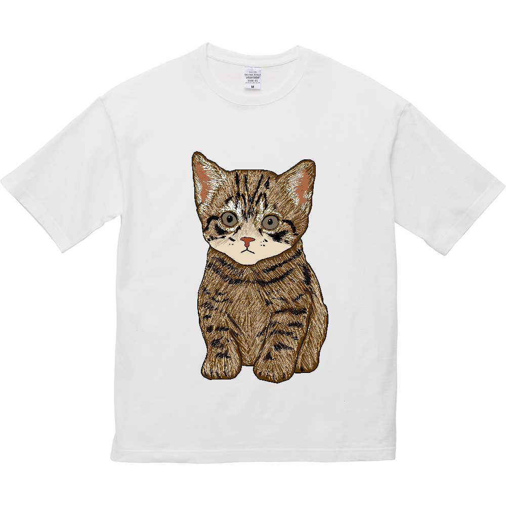 ねこ〔猫〕
