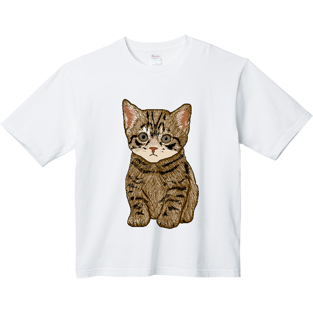 ねこ〔猫〕