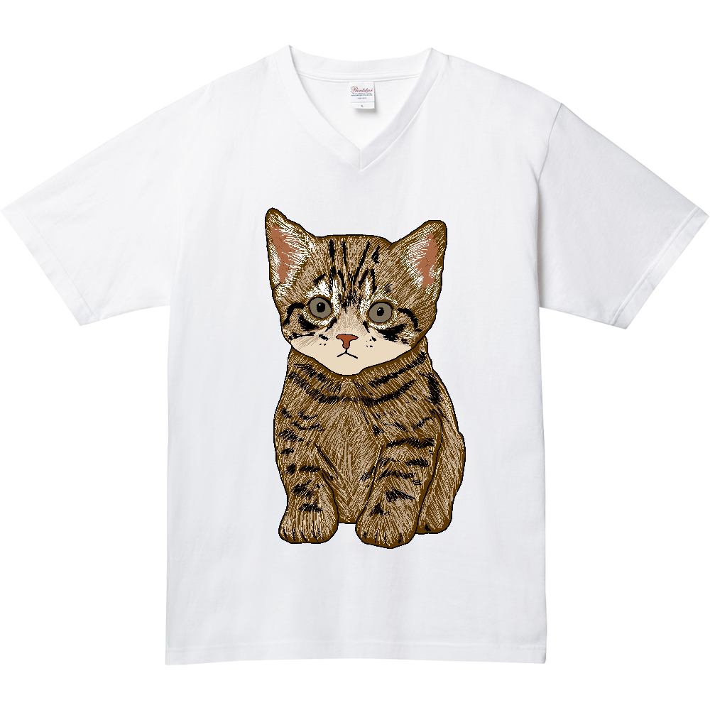 ねこ〔猫〕
