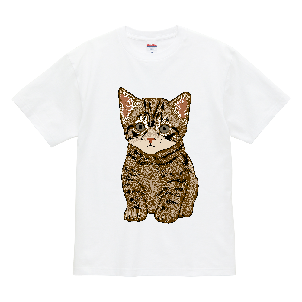 ねこ〔猫〕