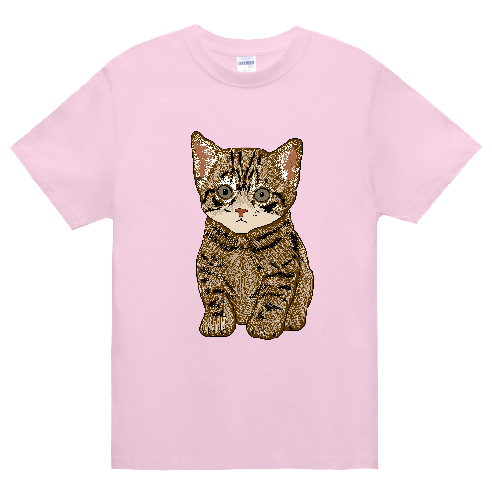 ねこ〔猫〕