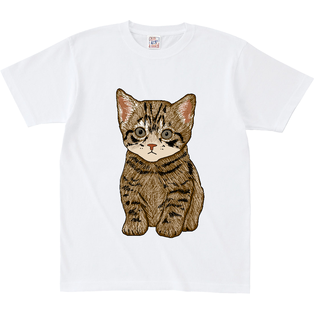 ねこ〔猫〕