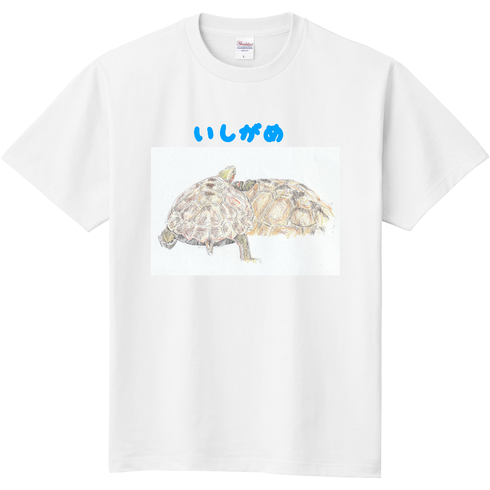 イシガメTシャツ