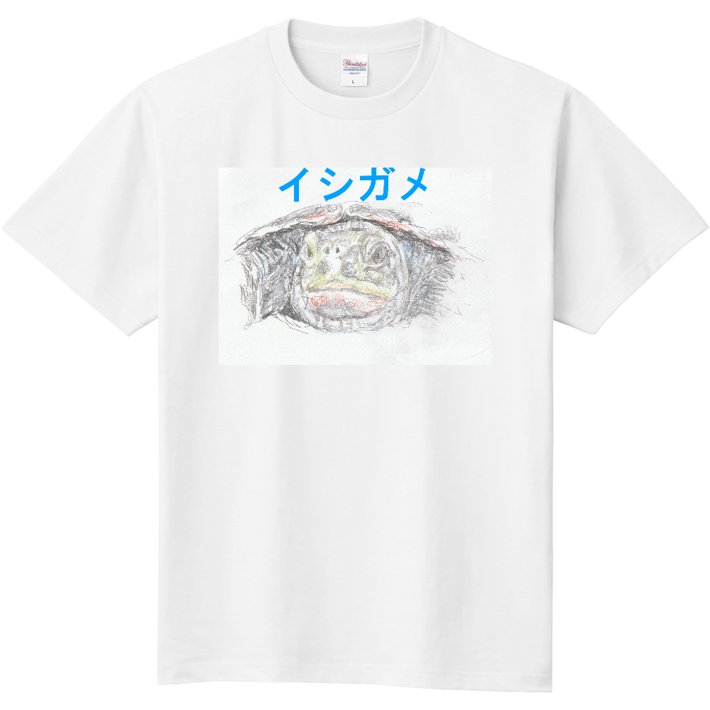イシガメ、アップTシャツ