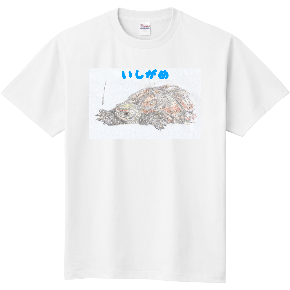 イシガメＴシャツ