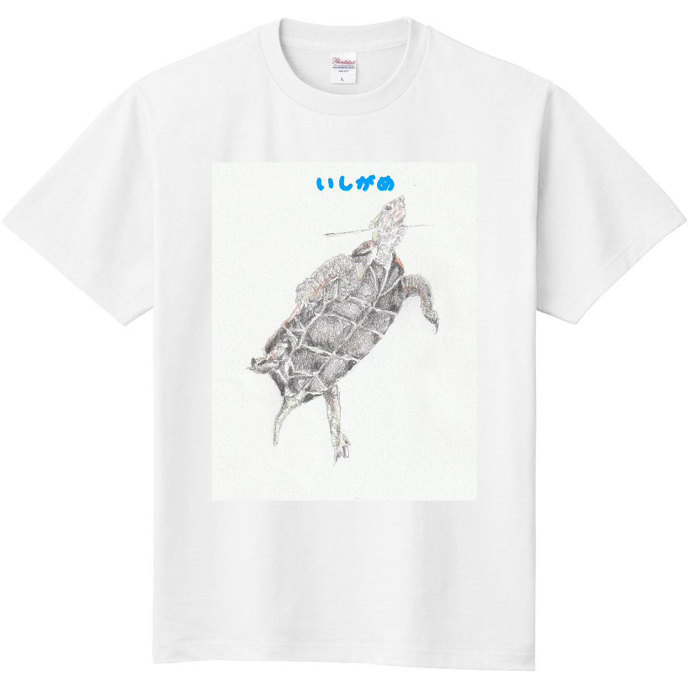 イシガメＴシャツ