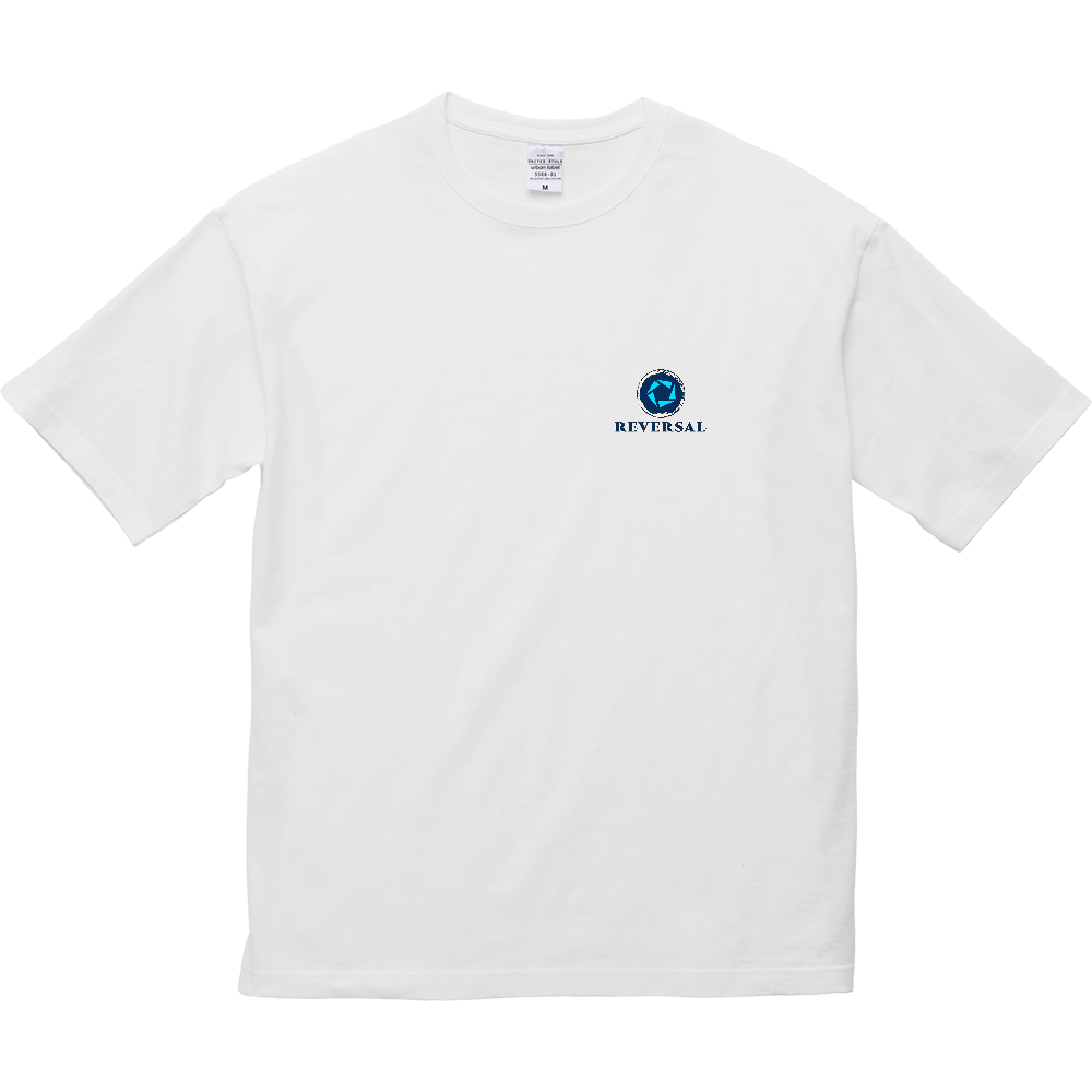 REVERSAL AFTERIMAGE ビッグTシャツ｜ユニセックス