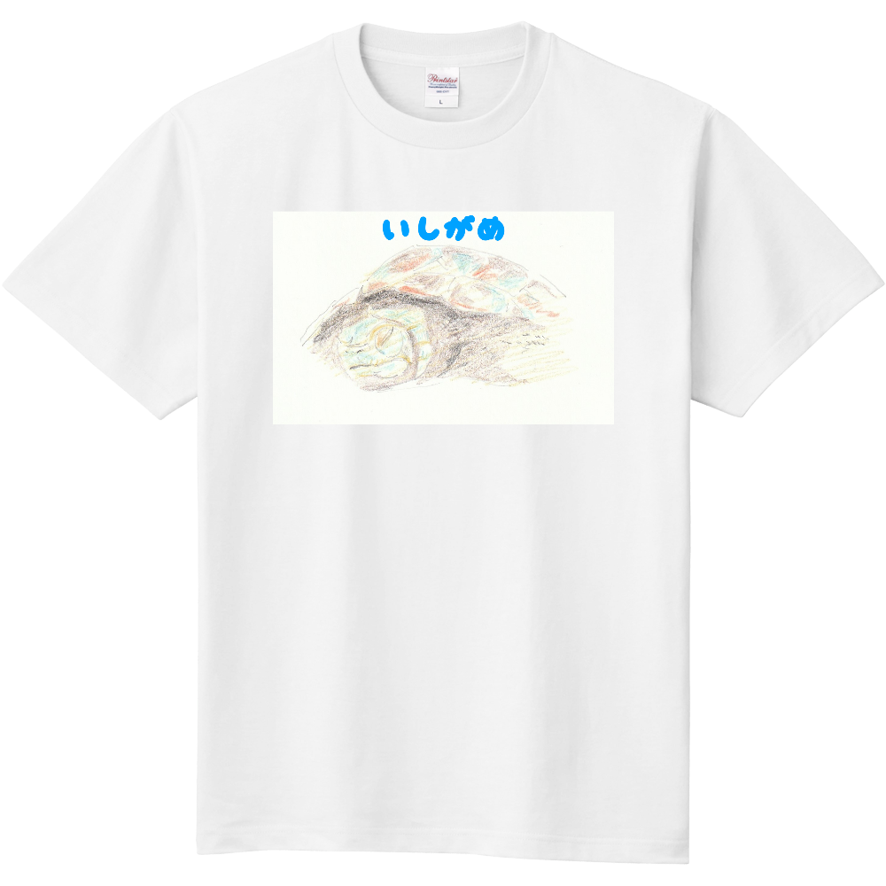 イシガメTシャツ