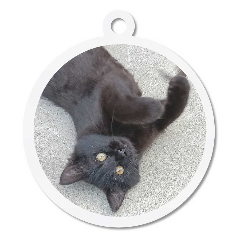 黒猫キーホルダー
