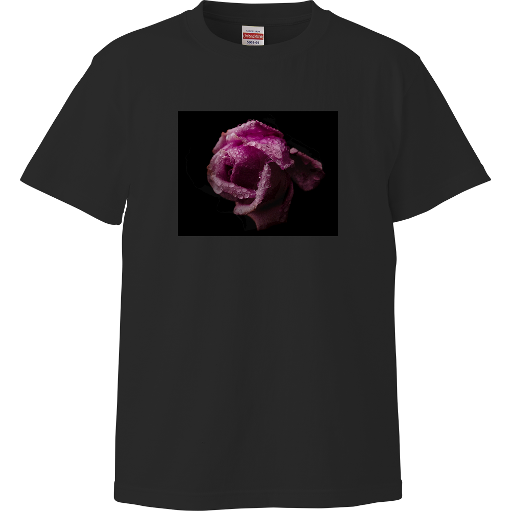 Rose Whisper
