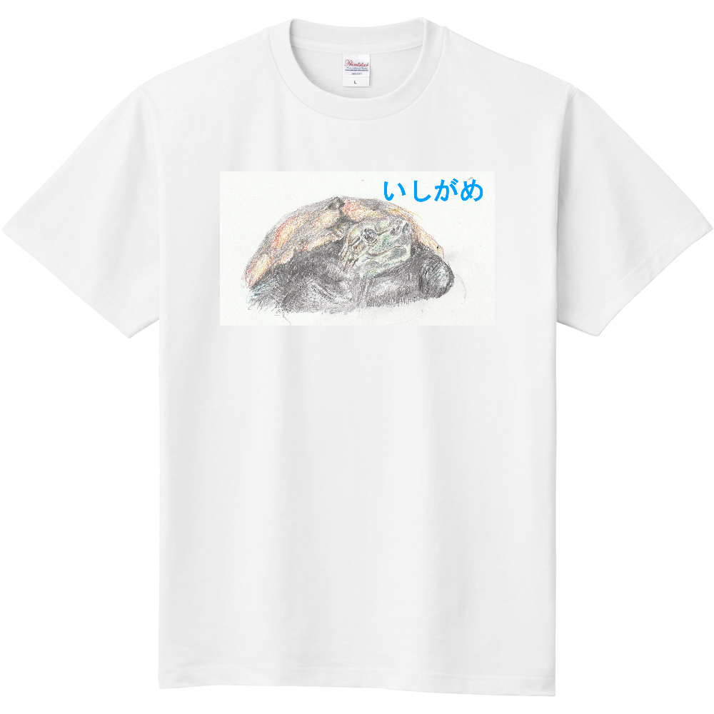 イシガメTシャツ