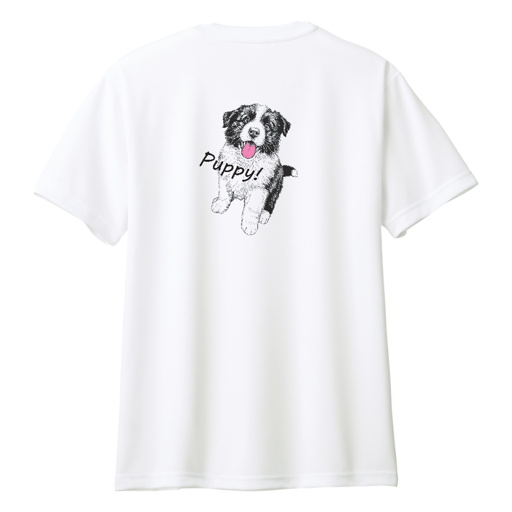 ボーダーコリー Puppy