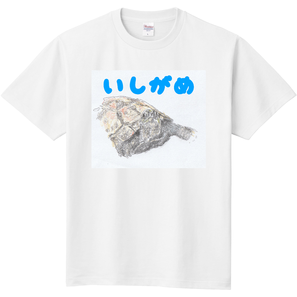 イシガメTシャツ