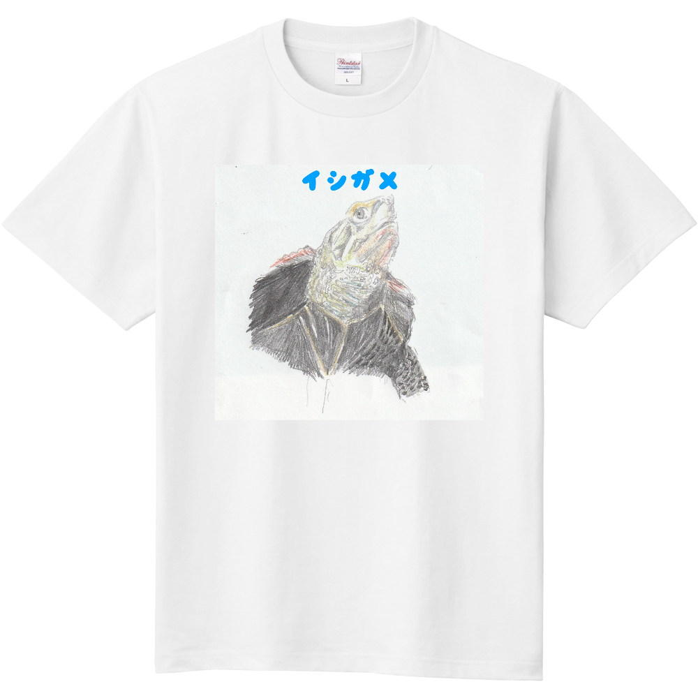 イシガメＴシャツ