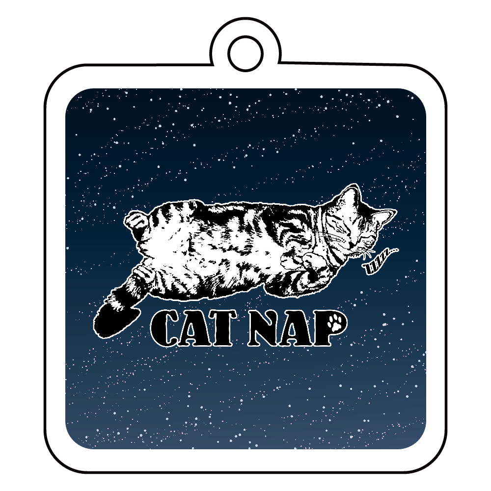 CAT_6KW (アクリルキーホルダー　四角型 6cm)