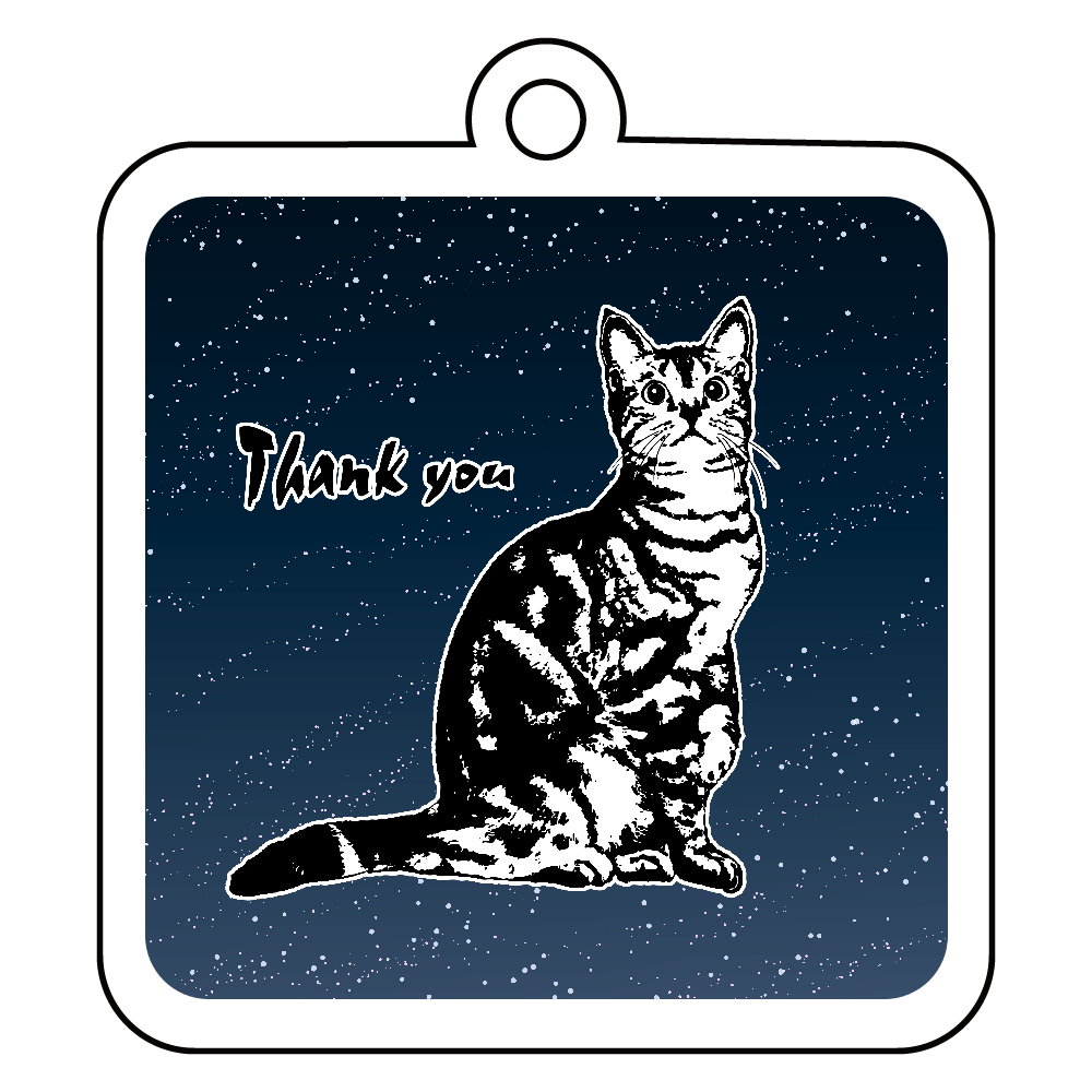 CAT_9KW (アクリルキーホルダー 四角型 6cm)