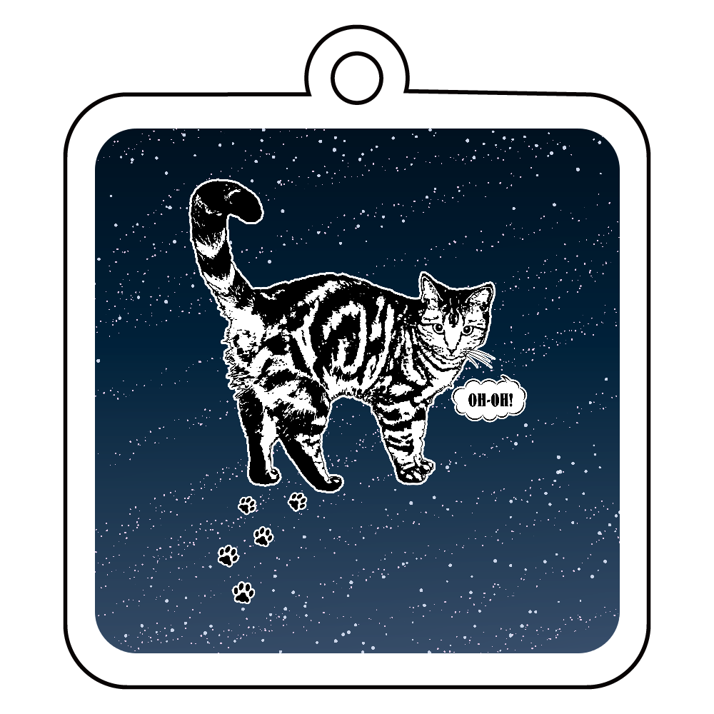 CAT_13KW (アクリルキーホルダー 四角型 6cm)