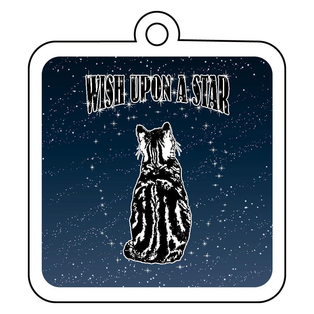 CAT_5KW (アクリルキーホルダー　四角型 6cm)
