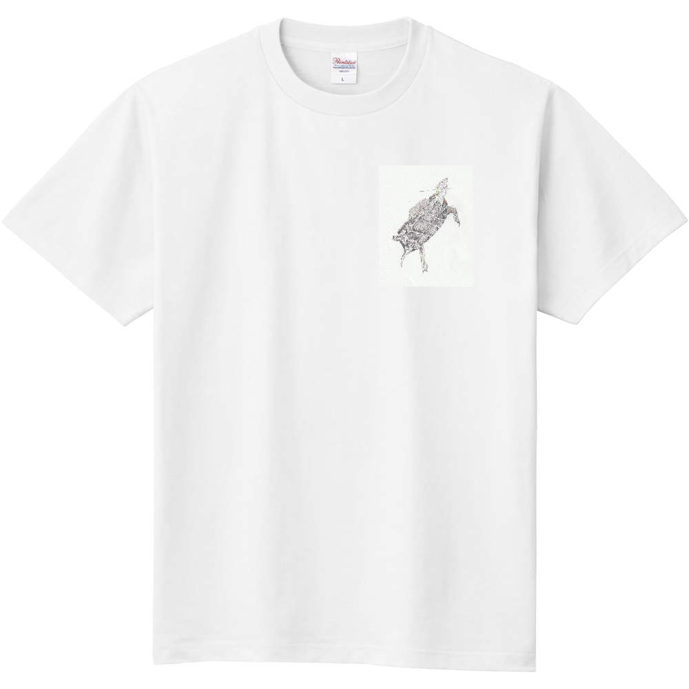 イシガメTシャツ