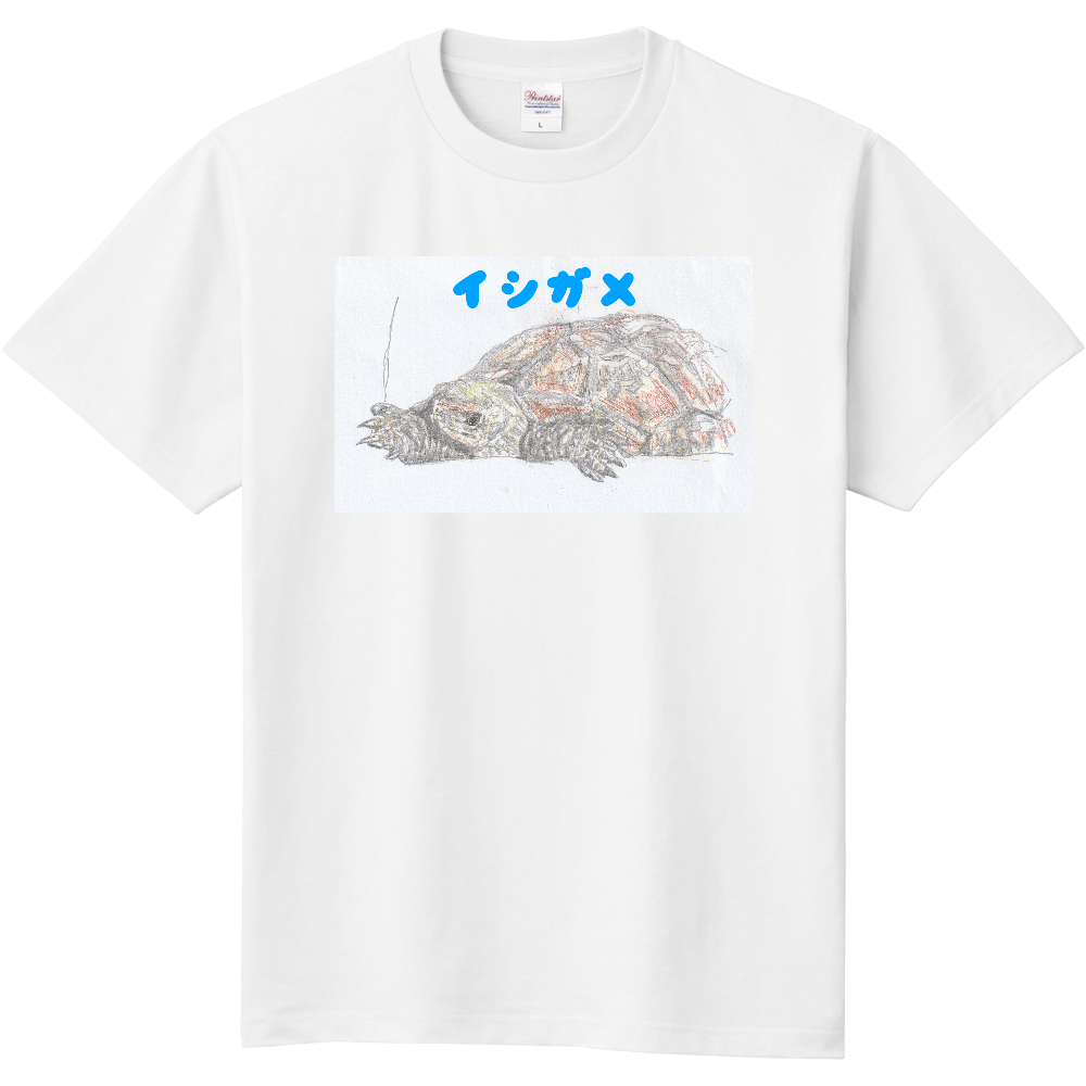 イシガメＴシャツ