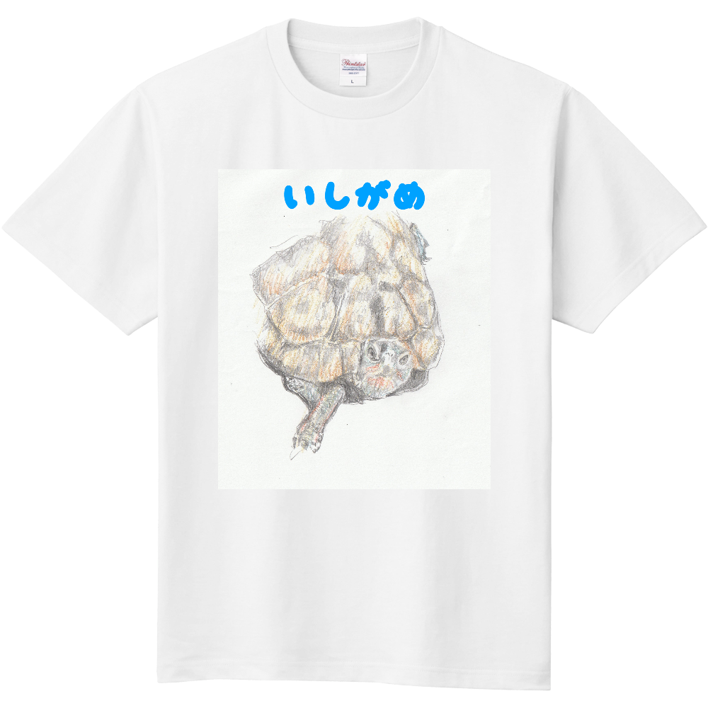 イシガメTシャツ