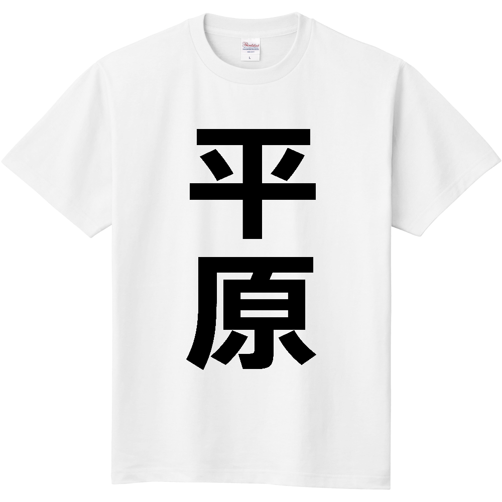 【苗字】  「平原」 縦 黒文字  Tシャツ 