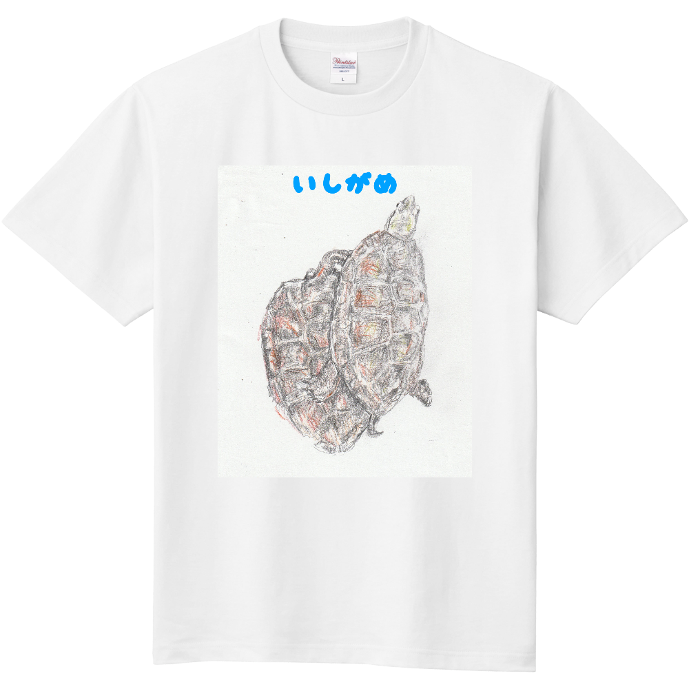 イシガメTシャツ