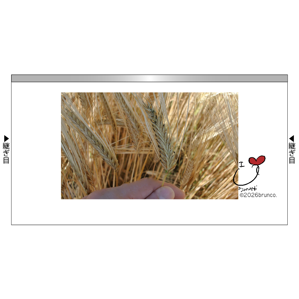 < iloveu - 09005 > keep COOL photo de brunco.