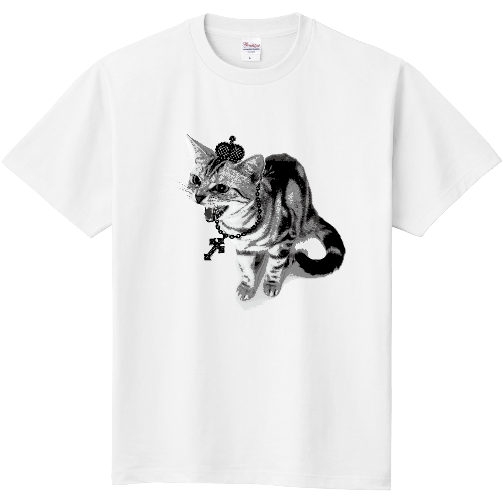PUNK CAT｜シャーという猫