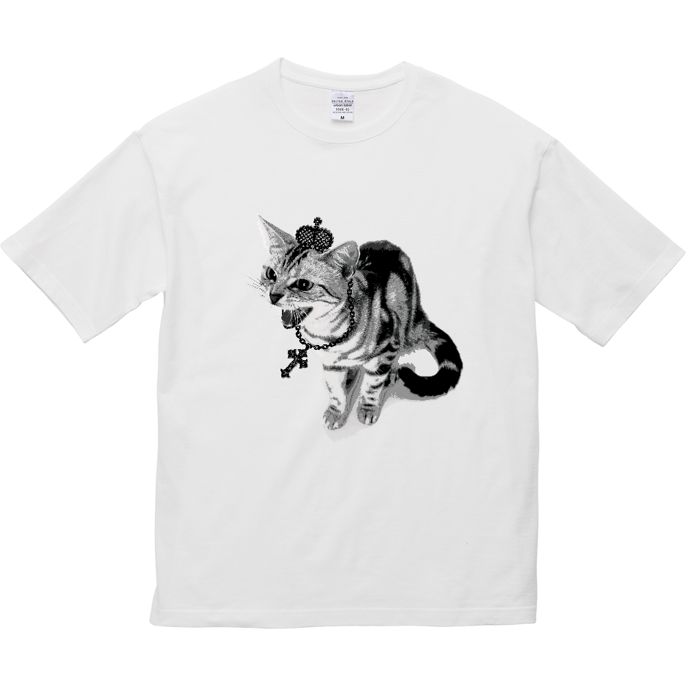 PUNK CAT｜シャーという猫