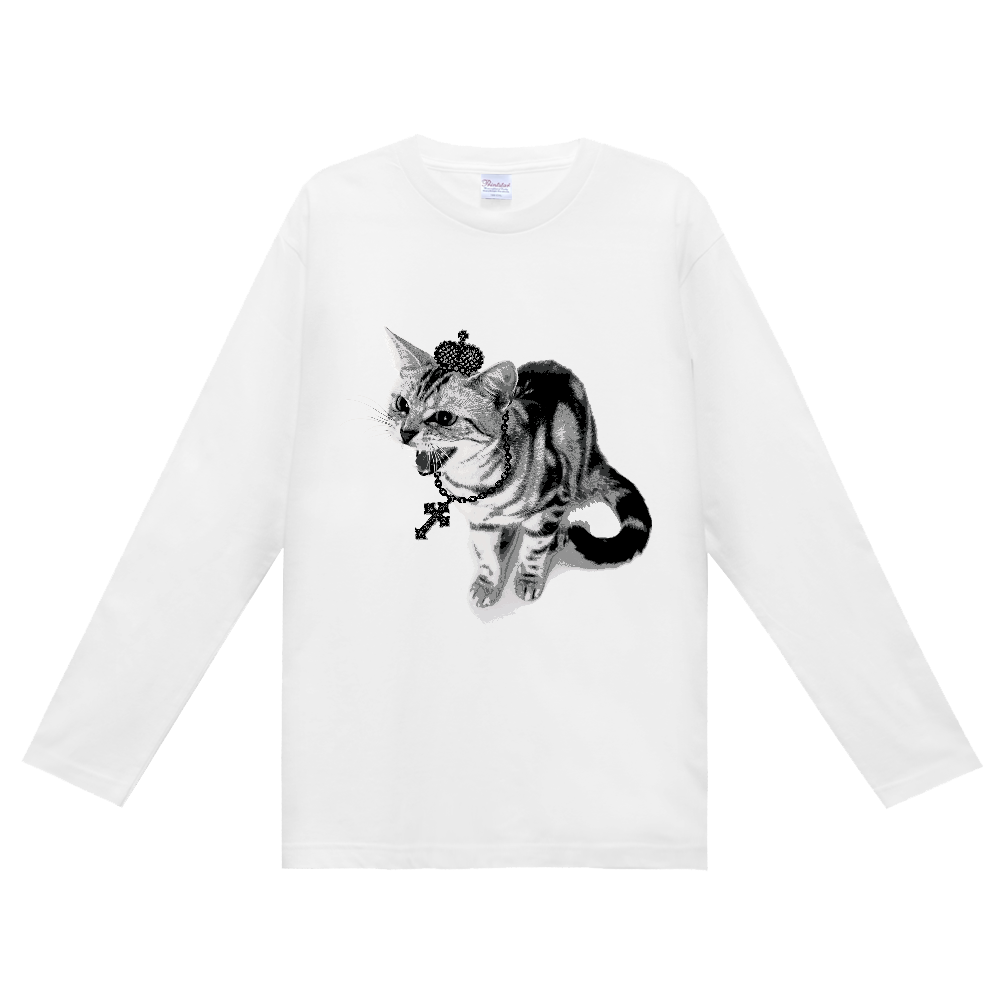 PUNK CAT｜シャーという猫
