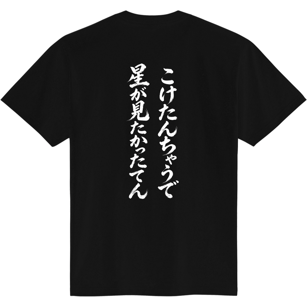 I Didn't Fall, I Was Looking at the Stars T-Shirt / こけたんちゃうで 星が見たかったてん Tシャツ