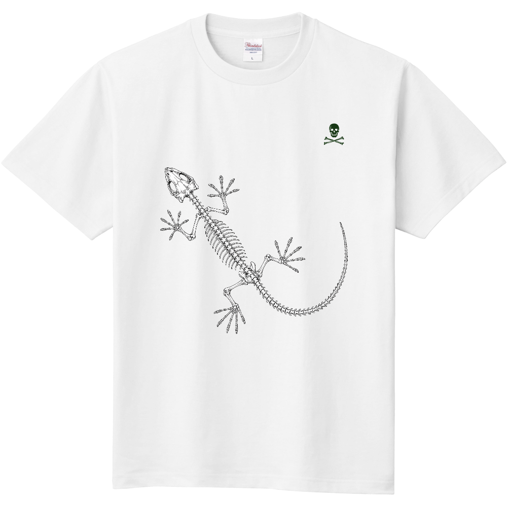 Gecko