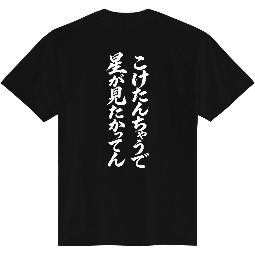 I Didn't Fall, I Wanted to See Stars Back Print T-Shirt / 「こけたんちゃうで 星が見たかってん」バックプリントTシャツ
