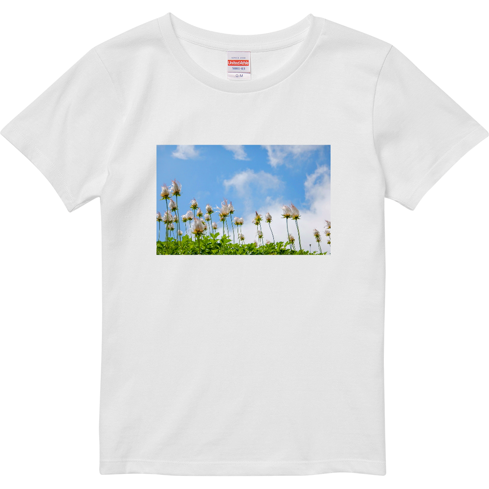 Tシャツ（ワタスゲ）