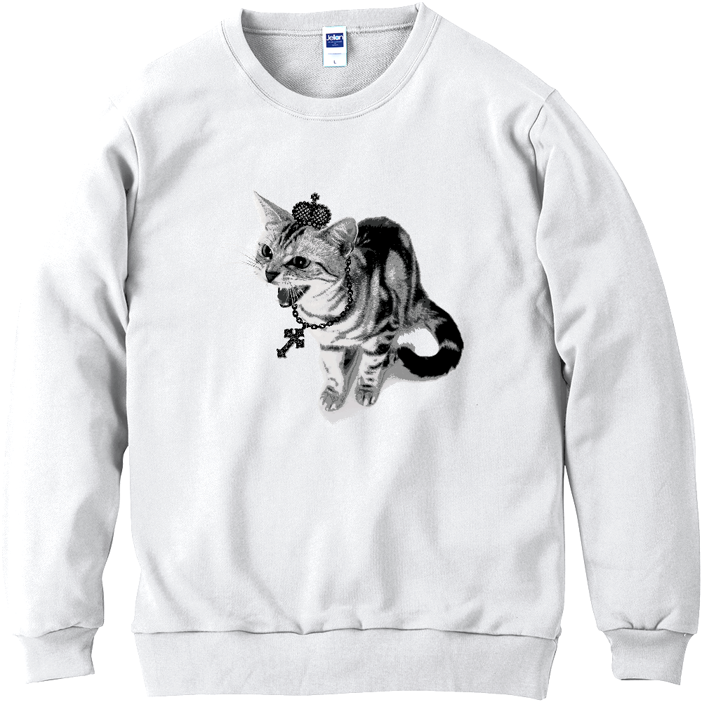 PUNK CAT｜シャーという猫