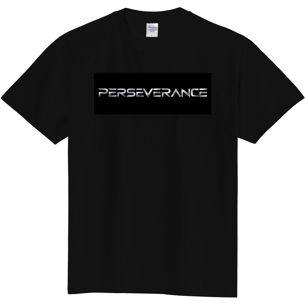 PERSEVERANCE
