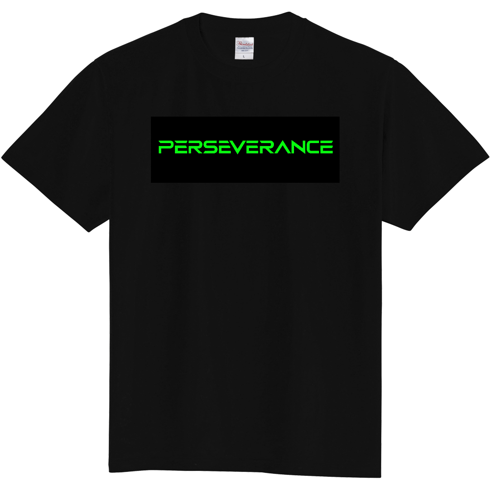 PERSEVERANCE
