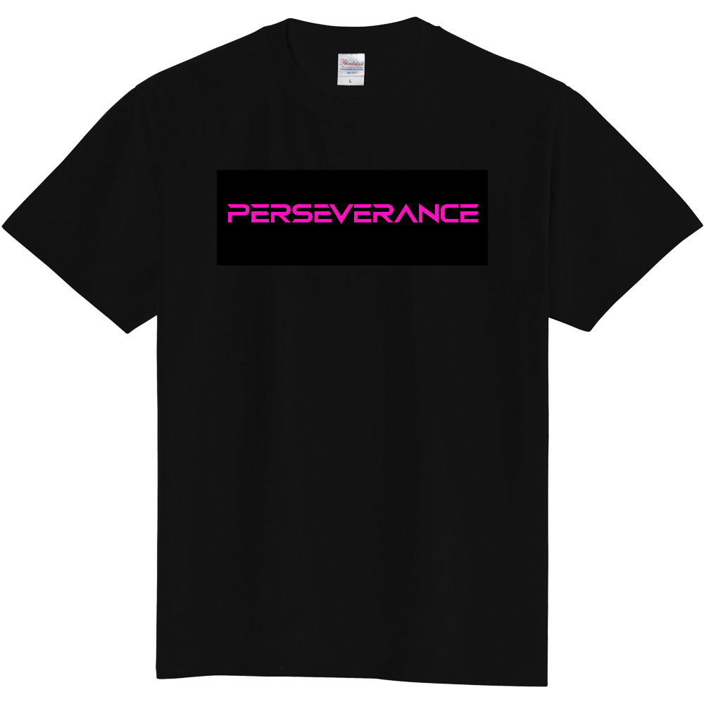 PERSEVERANCE 